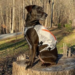 NWT - Hotel Doggy Adventure Wear Hiking Backpack With Water Bottle Set